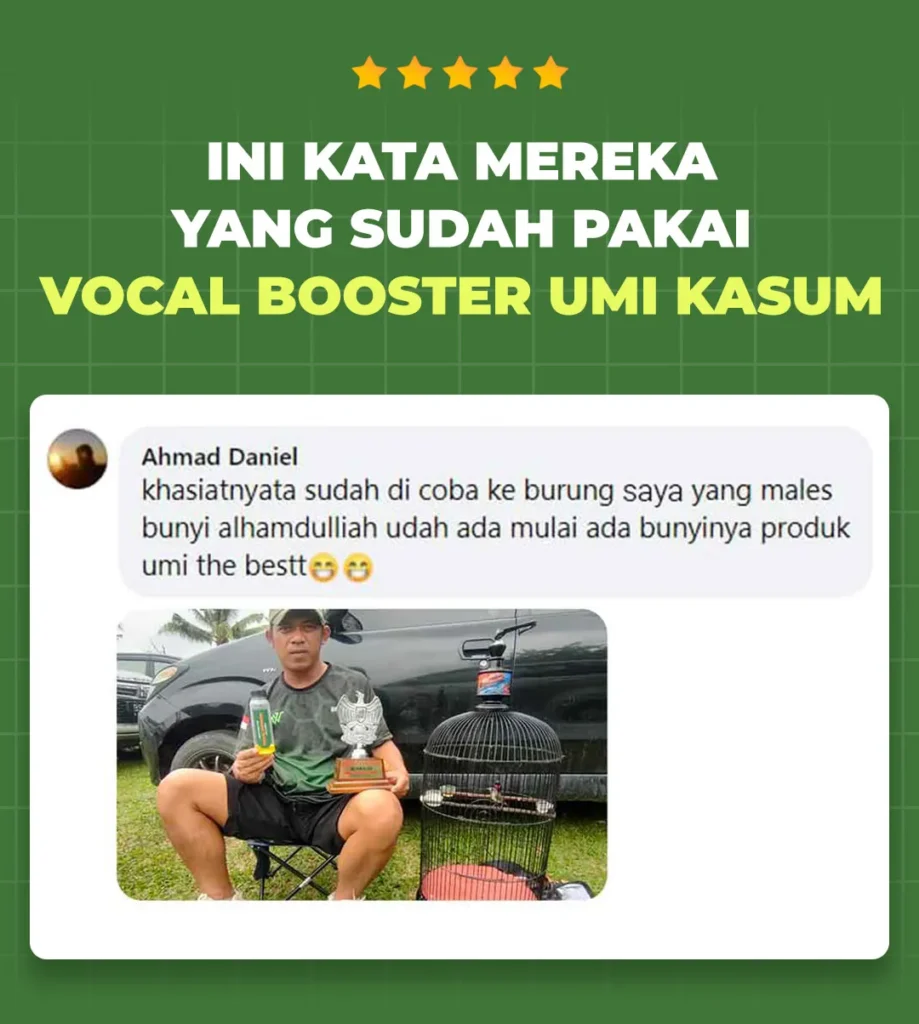 Request-LP-VB-WA---Testimonial-Section01_11zon