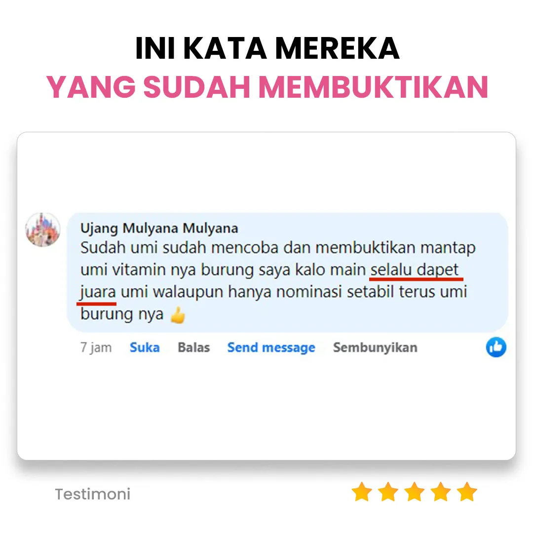 section-testimoni2_11zon