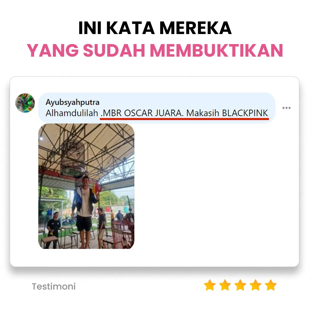 section-testimoni4_11zon