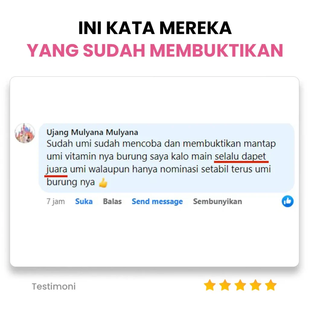 section-testimoni2_11zon.webp