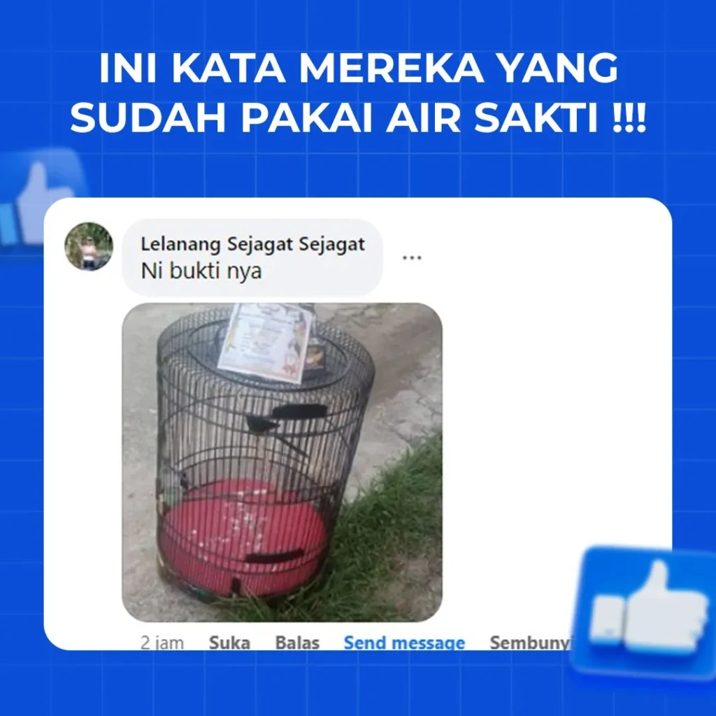 testimoni-5_6_11zon.webp